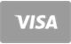 Icono de pago con tarjeta Visa aceptada en BDMBet Casino